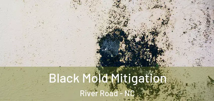  Black Mold Mitigation River Road - NC