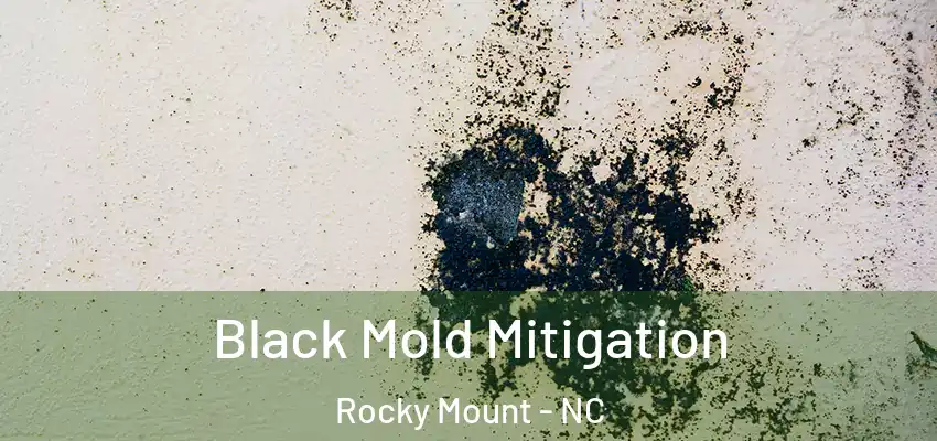 Black Mold Mitigation Rocky Mount - NC