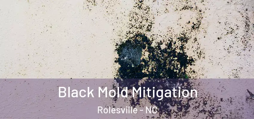 Black Mold Mitigation Rolesville - NC