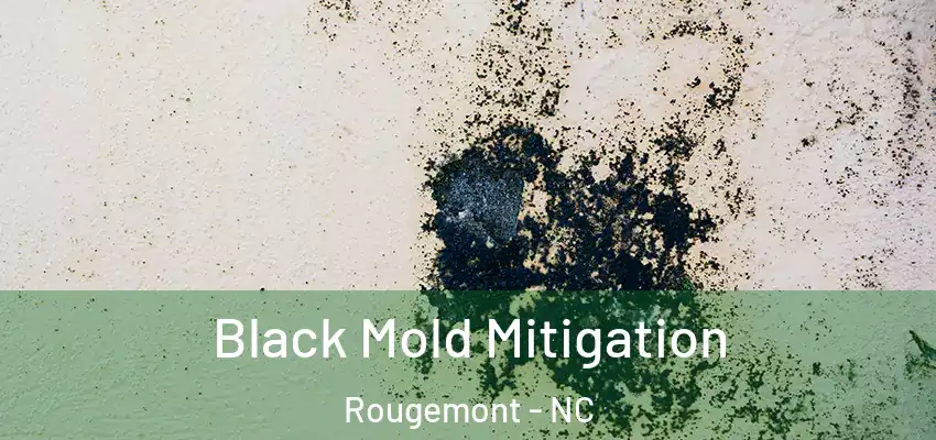 Black Mold Mitigation Rougemont - NC