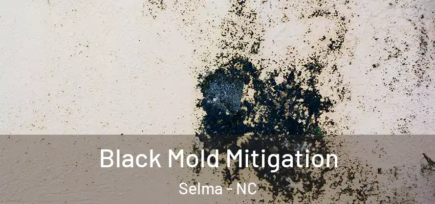 Black Mold Mitigation Selma - NC