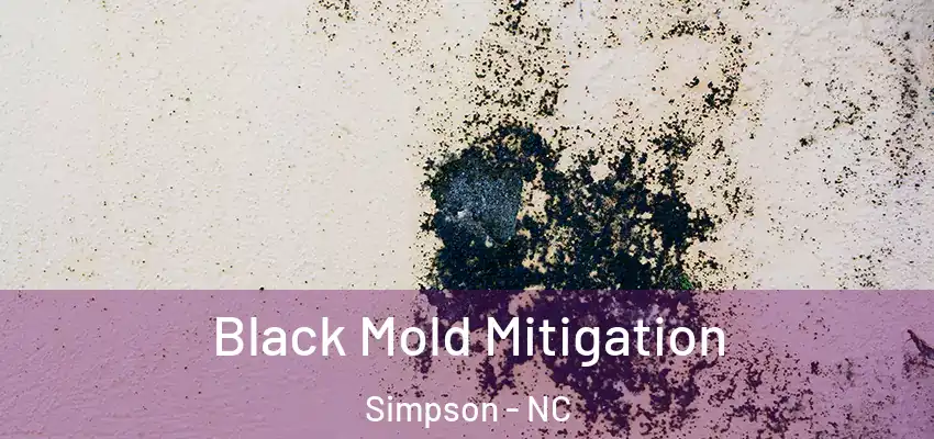  Black Mold Mitigation Simpson - NC