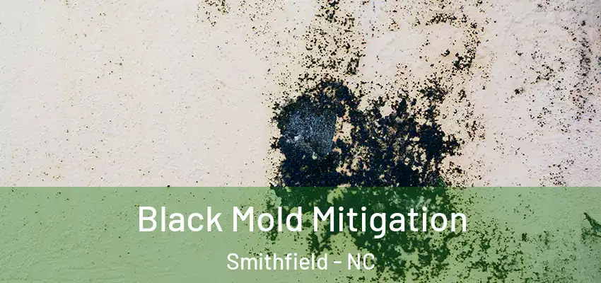  Black Mold Mitigation Smithfield - NC