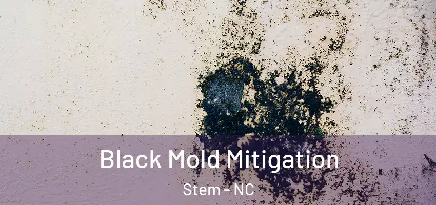  Black Mold Mitigation Stem - NC