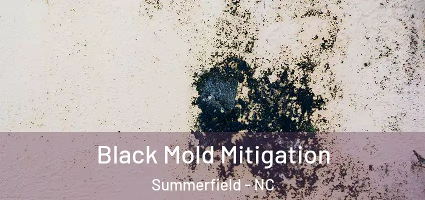  Black Mold Mitigation Summerfield - NC