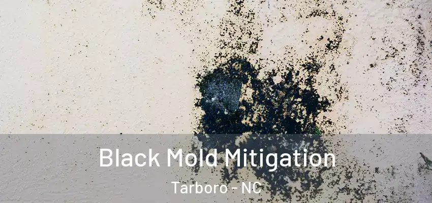 Black Mold Mitigation Tarboro - NC