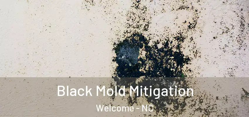  Black Mold Mitigation Welcome - NC