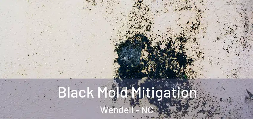  Black Mold Mitigation Wendell - NC