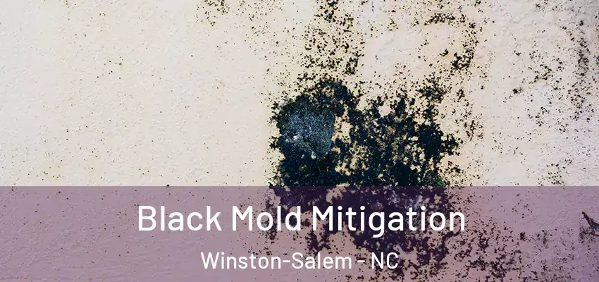 Black Mold Mitigation Winston-Salem - NC