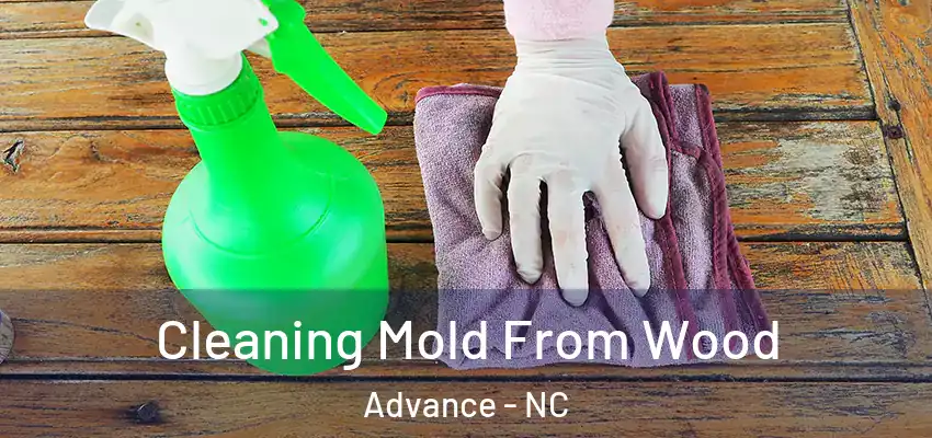  Cleaning Mold From Wood Advance - NC