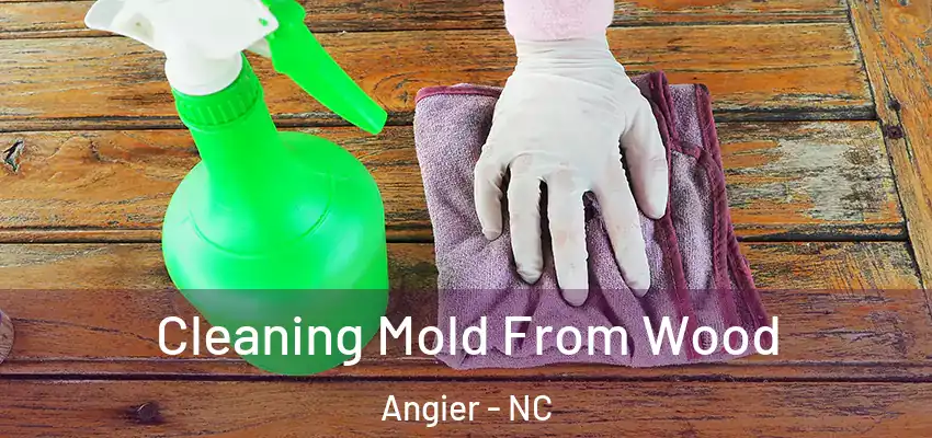Cleaning Mold From Wood Angier - NC