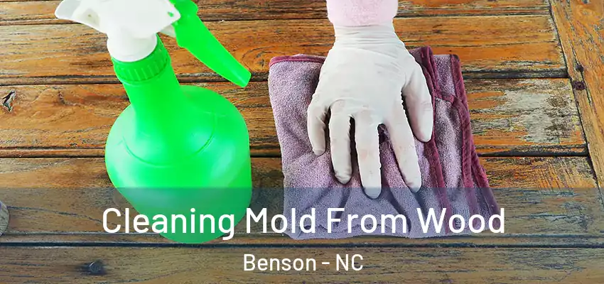 Cleaning Mold From Wood Benson - NC