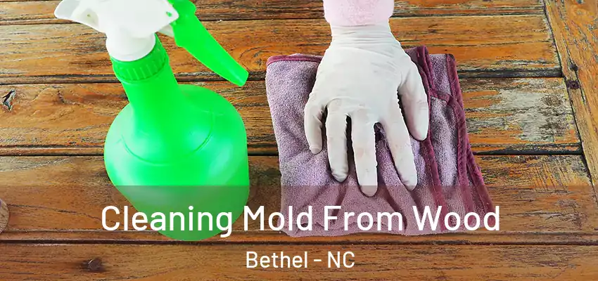 Cleaning Mold From Wood Bethel - NC