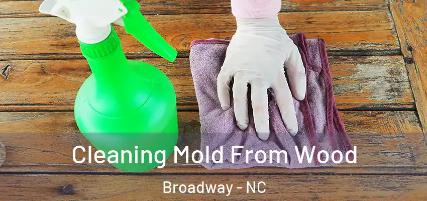  Cleaning Mold From Wood Broadway - NC