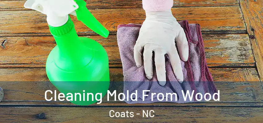  Cleaning Mold From Wood Coats - NC