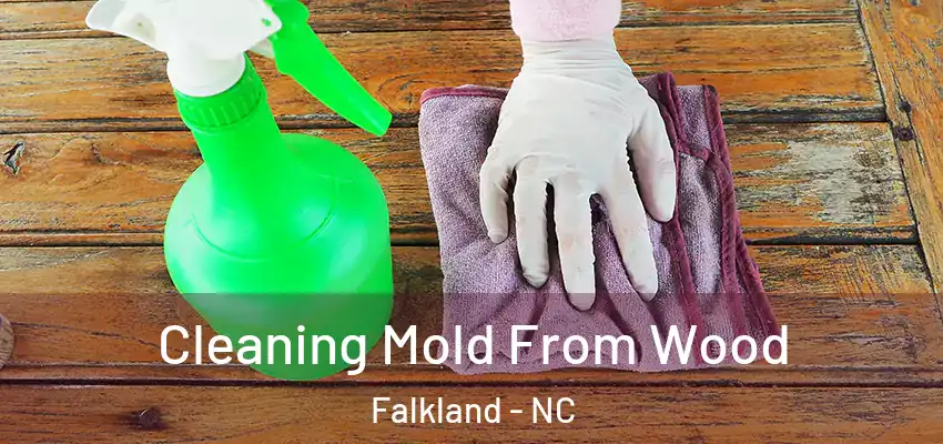  Cleaning Mold From Wood Falkland - NC