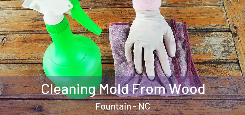 Cleaning Mold From Wood Fountain - NC