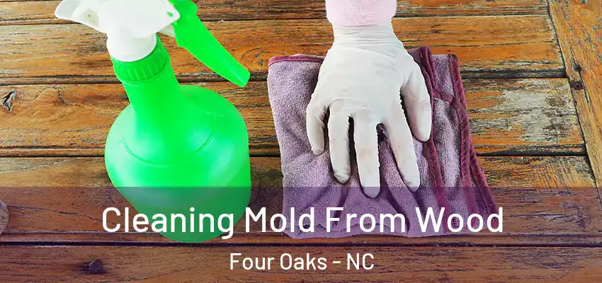  Cleaning Mold From Wood Four Oaks - NC