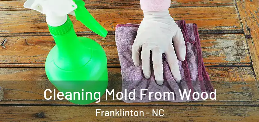  Cleaning Mold From Wood Franklinton - NC