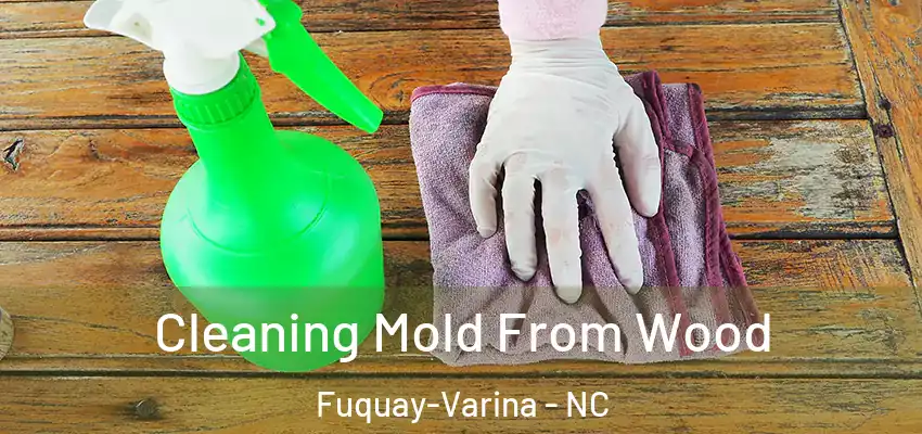Cleaning Mold From Wood Fuquay-Varina - NC