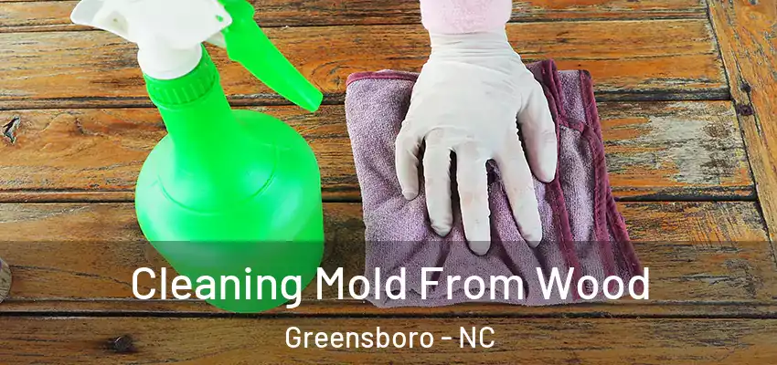 Cleaning Mold From Wood Greensboro - NC