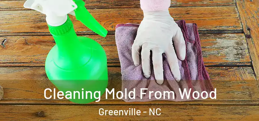  Cleaning Mold From Wood Greenville - NC