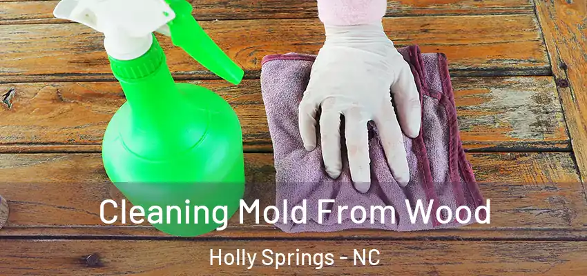 Cleaning Mold From Wood Holly Springs - NC