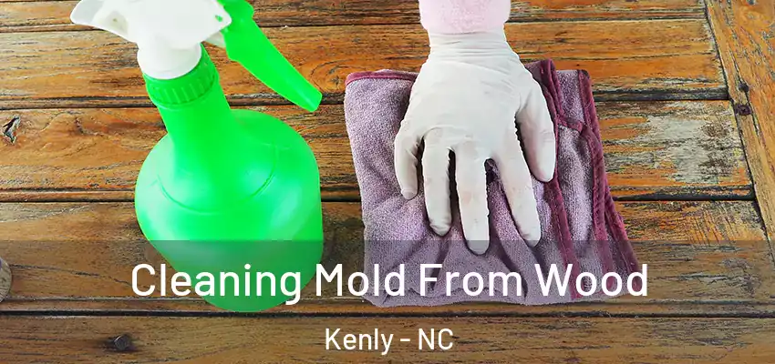  Cleaning Mold From Wood Kenly - NC