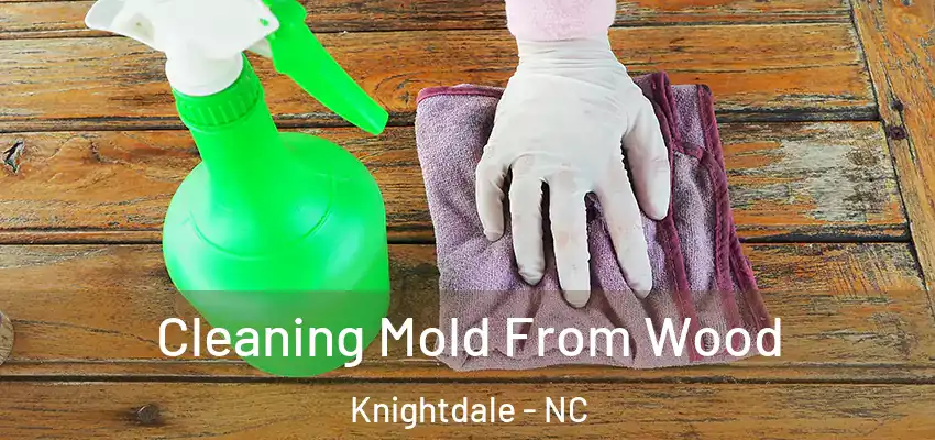 Cleaning Mold From Wood Knightdale - NC