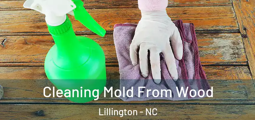 Cleaning Mold From Wood Lillington - NC
