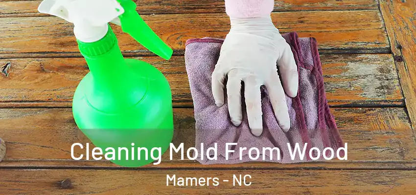  Cleaning Mold From Wood Mamers - NC