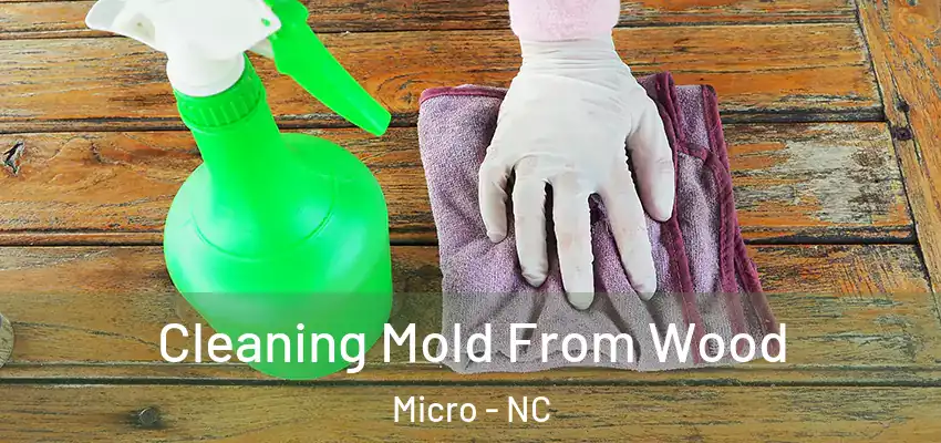 Cleaning Mold From Wood Micro - NC