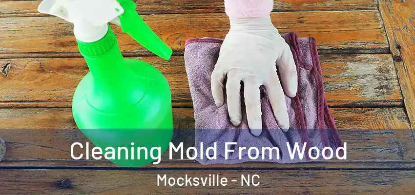  Cleaning Mold From Wood Mocksville - NC