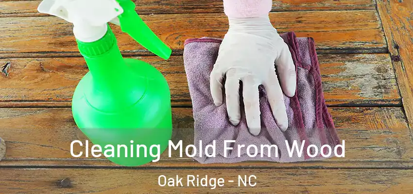  Cleaning Mold From Wood Oak Ridge - NC