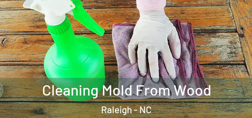Cleaning Mold From Wood Raleigh - NC