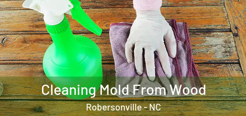 Cleaning Mold From Wood Robersonville - NC