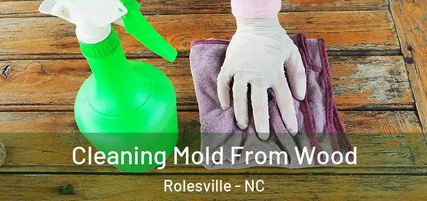 Cleaning Mold From Wood Rolesville - NC