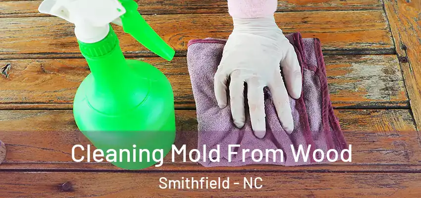 Cleaning Mold From Wood Smithfield - NC