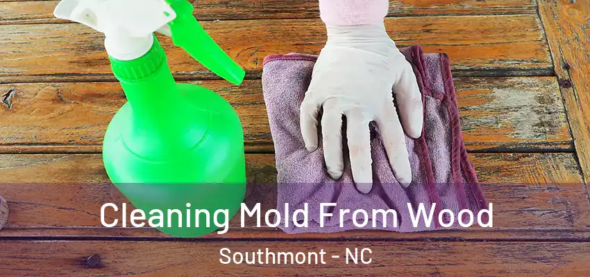 Cleaning Mold From Wood Southmont - NC