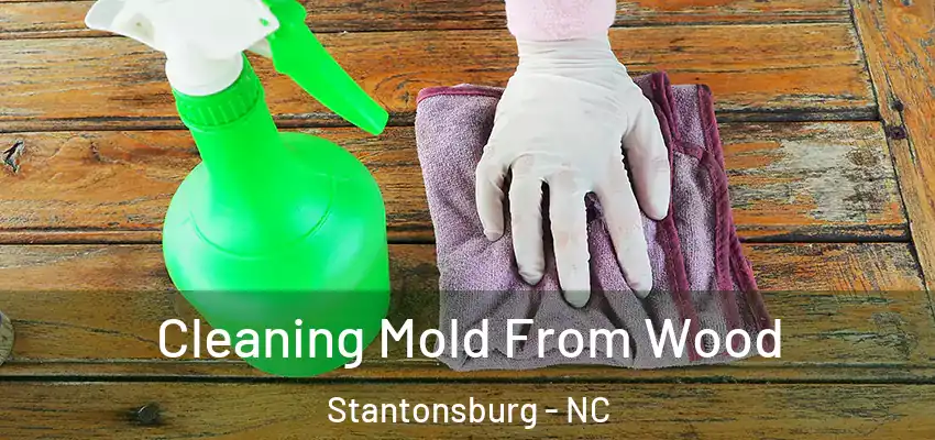 Cleaning Mold From Wood Stantonsburg - NC