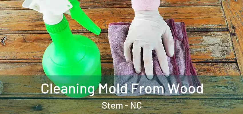 Cleaning Mold From Wood Stem - NC