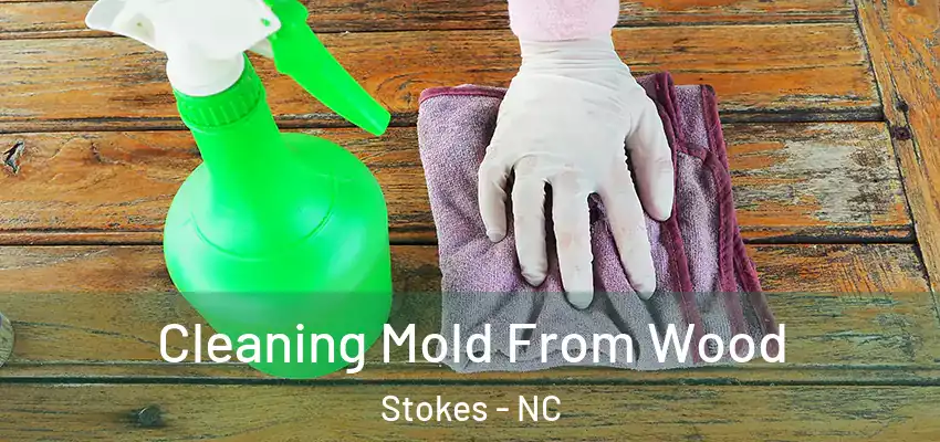  Cleaning Mold From Wood Stokes - NC
