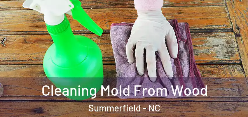 Cleaning Mold From Wood Summerfield - NC