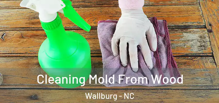 Cleaning Mold From Wood Wallburg - NC