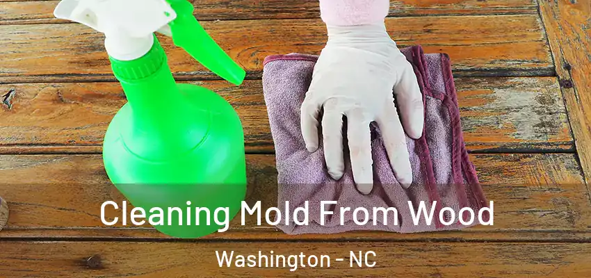  Cleaning Mold From Wood Washington - NC