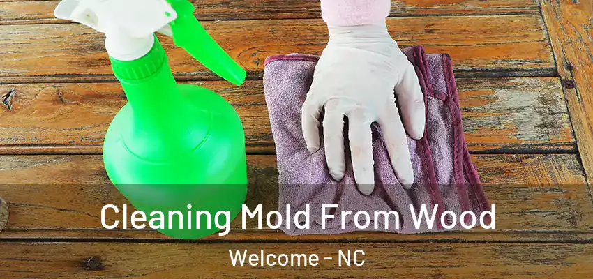  Cleaning Mold From Wood Welcome - NC