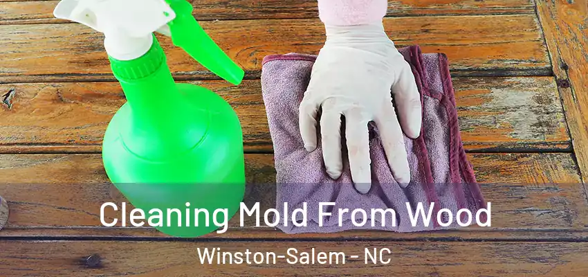  Cleaning Mold From Wood Winston-Salem - NC