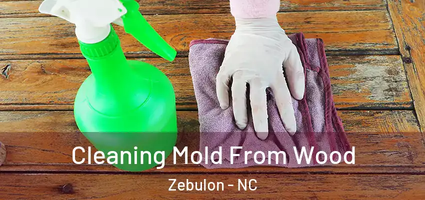Cleaning Mold From Wood Zebulon - NC