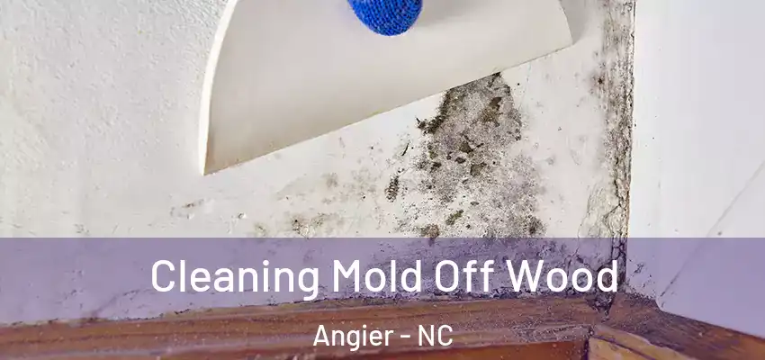  Cleaning Mold Off Wood Angier - NC