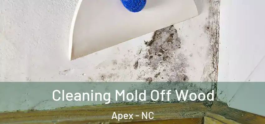  Cleaning Mold Off Wood Apex - NC